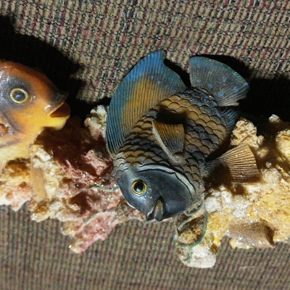 😇Fish what knot - Picture 5 of 8